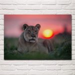 Tableau Lionne