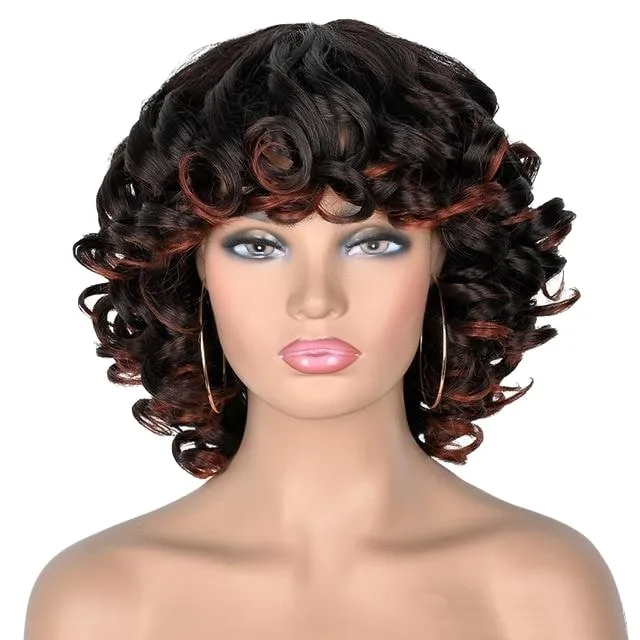 Perruques afro noire classique – Image 3