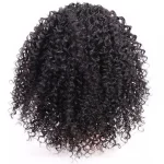 Perruques afro chignon volumineux