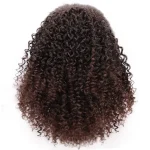 Perruques afro tressée à motif écailles et chignon