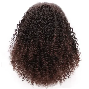 Perruques afro tressée à motif écailles et chignon