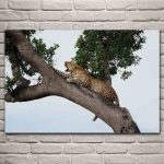 tableau leopard