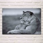 tableau lionne et lionceau