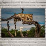 tableau leopard