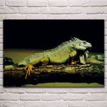 tableau lézard