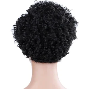 Perruques afro courte noire