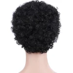 Perruques afro femme courte