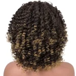 Perruques afro noir et blond