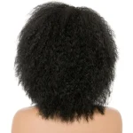 Perruques afro synthétiques